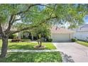 Landscaped front yard with healthy grass, and decorative trees highlighting this cozy one-story home at 16843 Harrierridge Pl, Lithia, FL 33547