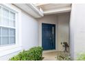 Welcoming blue front door complemented by lush landscaping and a charming decorative statue at 19279 Stone Hedge Dr, Tampa, FL 33647