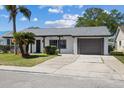 Inviting one-story home with a well-maintained lawn, mature palm trees, and a spacious driveway at 3553 Delta Pl, Holiday, FL 34691