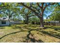 Expansive backyard with a mix of sun and shade, offering a serene outdoor space at 203 S Coolidge Ave, Tampa, FL 33609