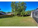 Expansive backyard featuring lush green grass, mature trees, and a screened-in patio at 2749 Bent Leaf Dr, Valrico, FL 33594