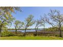 Scenic water view framed by mature trees, offering tranquility and a connection with nature at 8910 Eagle Watch Dr, Riverview, FL 33578