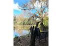 Scenic pond view with a park bench underneath a large tree and Spanish moss at 6701 Medlar Dr, New Port Richey, FL 34653