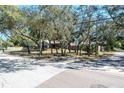 Street view of a home with mature trees, offering shade and curb appeal in a residential neighborhood at 275 S Highland Ave, Tarpon Springs, FL 34689