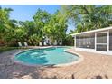 Inviting backyard oasis featuring a kidney-shaped pool, screened-in patio, lush landscaping, and lounge chairs at 3818 W San Miguel St, Tampa, FL 33629