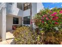 Exterior view of home highlighting blooming bougainvillea and garden landscape at 523 Bayport Way # 523, Longboat Key, FL 34228