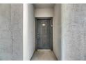 A solid dark gray front door stands within a recessed entryway, promising security and privacy at 13016 Sanctuary Cove Dr # 201, Temple Terrace, FL 33637