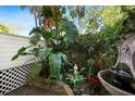 A bricked courtyard area features tropical greenery, lush landscaping, and a decorative stone water feature at 5203 Bayshore Blvd # 10, Tampa, FL 33611