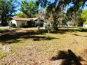Spacious backyard with mature trees, offering a private and serene outdoor space at 908 N Knight St, Plant City, FL 33563