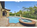 Backyard pool and spa area with a black metal fence, and statue, surrounded by lush landscaping and greenery at 17005 Madres De Avila, Tampa, FL 33613
