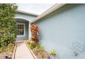 A welcoming entryway with colorful plants and a textured light blue exterior at 19200 Weymouth Dr, Land O Lakes, FL 34638