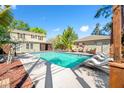 Inviting backyard pool with lounge chairs and lush landscaping at 8205 Overlook Ne Pl, St Petersburg, FL 33702