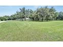 Expansive front lawn with mature trees, providing a serene and picturesque setting for the home at 9017 S County Line Rd, Lithia, FL 33547