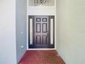Front door entrance to this home featuring sidelights and a brick paver floor at 10818 Breaking Rocks Dr, Tampa, FL 33647