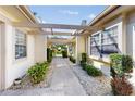 Inviting walkway adorned with greenery and a pergola, creating an appealing entrance at 11135 Carriage Hill Dr # 5, Port Richey, FL 34668