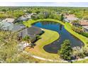 Picturesque aerial view of a home backing onto a tranquil pond surrounded by lush greenery at 19230 Wind Dancer St, Lutz, FL 33558