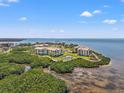 Stunning aerial view of waterfront condos surrounded by mangroves and crystal-clear water at 234 Mariner Dr # 234, Tarpon Springs, FL 34689