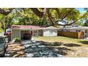 Inviting single-story home featuring a convenient carport and a beautifully shaded front yard at 7303 N Branch Ave, Tampa, FL 33604