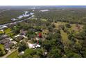 Aerial view of the property surrounded by trees, showing its location at 8136 Honeybee Ln, Tampa, FL 33635