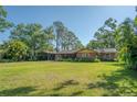Spacious backyard view of the house with a large lawn at 8136 Honeybee Ln, Tampa, FL 33635