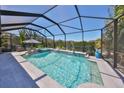 Screened-in pool with spa overlooking beautiful landscaping and serene lake at 10072 Sage Creek Dr, Ruskin, FL 33573