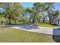 Long driveway with mature trees and landscaping at 37362 Dixie Ave, Dade City, FL 33525