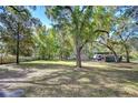 Spacious backyard with lush lawn, offering ample room for recreation and outdoor activities in a serene setting at 37410 Dixie Ave, Dade City, FL 33525