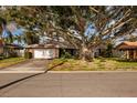 Charming one-story brick home with a large front yard featuring a majestic, mature tree offering ample shade at 3960 13Th Ne Way, St Petersburg, FL 33703