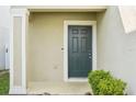 Close-up view of a stylish dark-colored front door with modern hardware and a covered porch at 11301 Hudson Hills Ln, Riverview, FL 33579