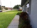 A sidewalk on the side of the house is surrounded by green grass and landscaping shrubs and plants at 1660 Caledonia Dr, Palm Harbor, FL 34684