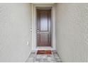 Close-up of the front door with a welcome mat on the beautiful gray stone floor at 19398 Great Intention Way, Lutz, FL 33558