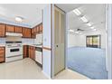 Open-concept layout showcasing the kitchen and adjacent living room with blue carpet at 770 Arthurs Ct, Tarpon Springs, FL 34689