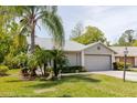 Lovely one-story home with a well-maintained lawn, mature palm trees, and an attached two-car garage at 11521 Rose Tree Dr, New Port Richey, FL 34654