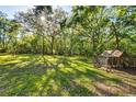 Spacious backyard with mature trees, a chicken coop, and plenty of room to roam at 14114 N 301 Hwy, Thonotosassa, FL 33592