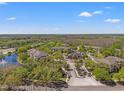 Expansive aerial view of community with lush green landscaping, streets, and nearby amenities at 17108 Carrington Park Dr # 711, Tampa, FL 33647