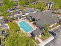Aerial view of a community pool with palm trees and lounge area at 17108 Carrington Park Dr # 711, Tampa, FL 33647