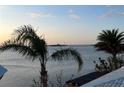 Beautiful water view featuring palm trees in the foreground and ocean scenery at 1844 Venetian Point Dr, Clearwater, FL 33755