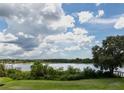 Scenic view of a lake with lush green grass and trees, showcasing a tranquil setting at 1807 Raven Manor Dr, Dover, FL 33527