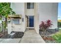 Charming front entryway featuring a blue door, mailbox, and garden plants at 4319 Harbor House Dr, Tampa, FL 33615