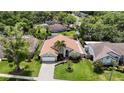 Exterior of a charming single-story house with a well-manicured lawn and lush landscaping at 6716 Frontier Ln, Tampa, FL 33625