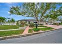 Charming home with a lush lawn and beautiful mature tree, enhancing curb appeal and providing shade at 4151 Belle Vista Dr, St Pete Beach, FL 33706