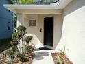 Inviting front entryway with a classic black door, neat landscaping, and a welcoming ambiance at 8307 Quarter Horse Dr, Riverview, FL 33578