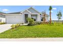 Beautiful single-Gathering home boasts an attached two-car garage, lush green lawn, and meticulously designed landscaping at 31651 Westbury Estates Ave, Wesley Chapel, FL 33545