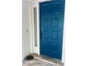 A blue painted front door with white frame and sidelight provides a welcoming entrance at 3629 Indigo Pond Dr # 3629, Palm Harbor, FL 34685