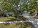 Well-maintained home featuring a large tree-shaded front yard and a two-car garage at 9044 Lynwood Dr, Seminole, FL 33772