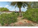 Home surrounded by lush Florida vegetation including bushes and palm trees at 11705 Ibis Ln, Port Richey, FL 34668