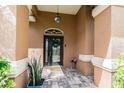Close-up of the front entrance featuring a decorative door, stone walkway, and inviting curb appeal at 2706 Bent Leaf Dr, Valrico, FL 33594
