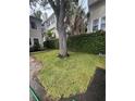 Charming front lawn featuring lush green grass and a mature tree at 527 S Lincoln Ave # A108, Tampa, FL 33609