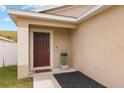 Inviting front entrance with a decorative planter and stylish welcome mat at 14426 Haddon Mist Dr, Wimauma, FL 33598