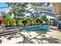 Sparkling screened in pool featuring a spa, surrounded by lush landscaping and a basketball hoop at 17108 Longacres Ln, Odessa, FL 33556